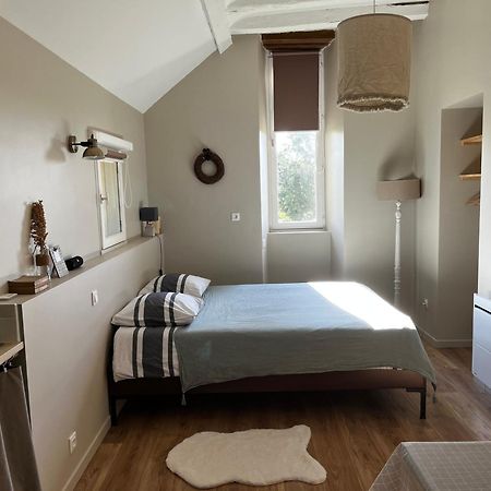 Studio Du Grand Beaumont Saint-Mélaine-sur-Aubance Eksteriør billede